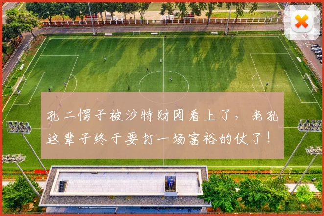 孔二愣子被沙特财团看上了，老孔这辈子终于要打一场富裕的仗了！