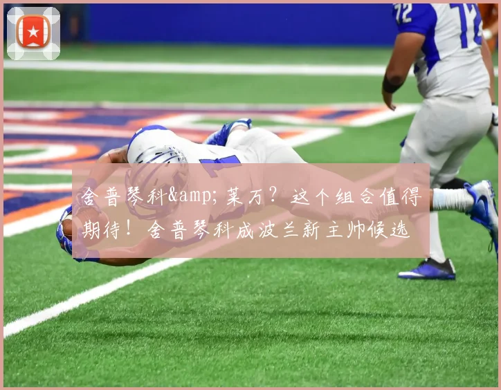 舍普琴科&莱万？这个组合值得期待！舍普琴科成波兰新主帅候选人