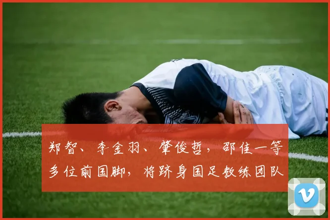 郑智、李金羽、肇俊哲，邵佳一等多位前国脚，将跻身国足教练团队