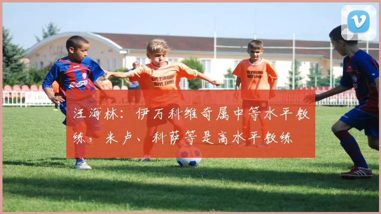 汪海林：伊万科维奇属中等水平教练，米卢、科萨等是高水平教练